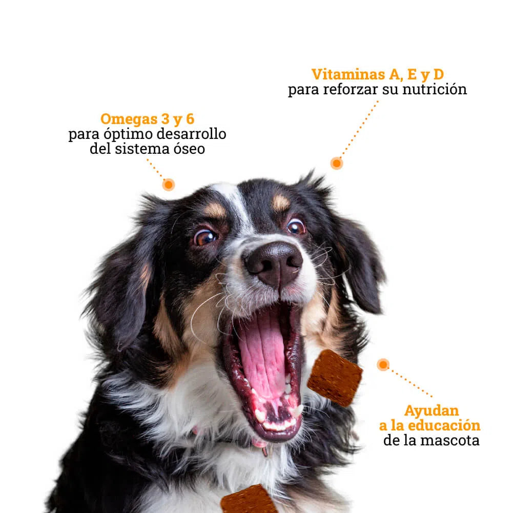 Galletas Brownies para perros