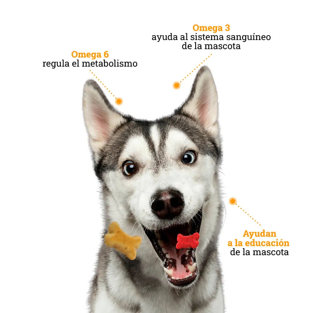 Galletas Sabor a Pollo para perros