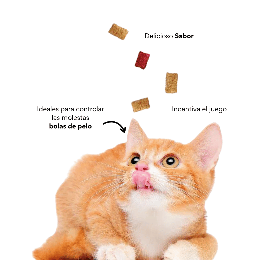 Galleta Hairball Control para gatos
