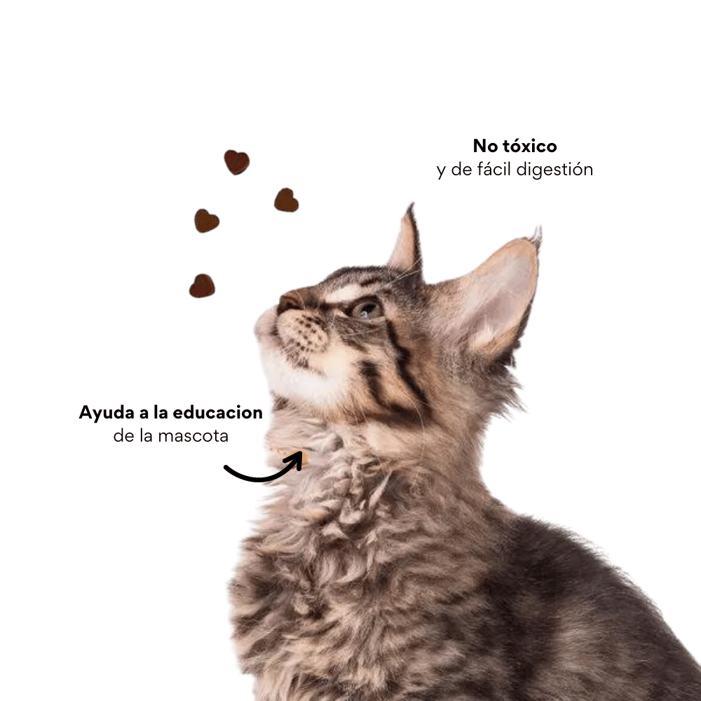 Galletas Piel y Pelaje para gatos
