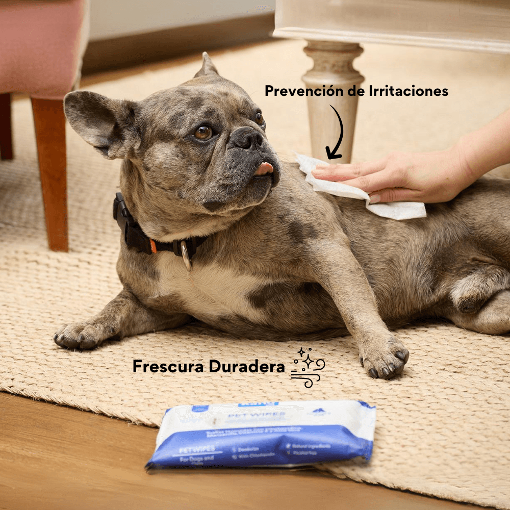 Toallas Humedas con Clorhexidina x 36 und