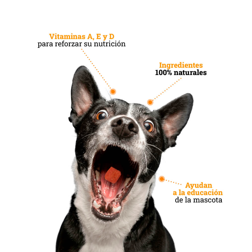 Galleta Fruit Punch para perros