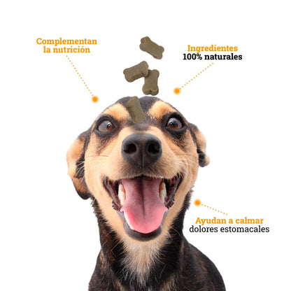 Galleta Efecto Calmante para perros