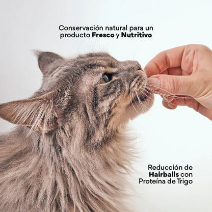 Snacks Nuggets Hair Ball Control para Gatos