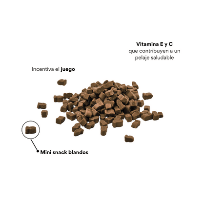 Galletas Piel y Pelaje para gatos