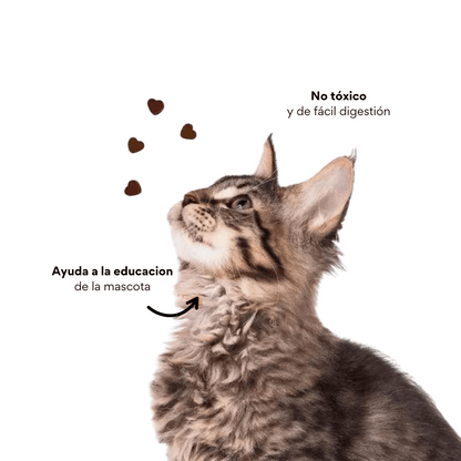 Galletas Piel y Pelaje para gatos