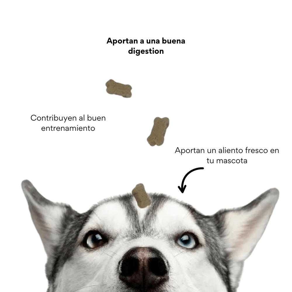 Galleta Aliento Fresco para perros