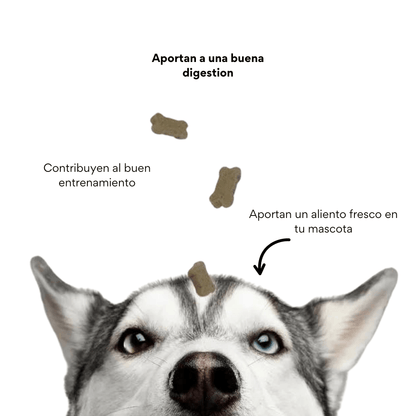 Galleta Aliento Fresco para perros
