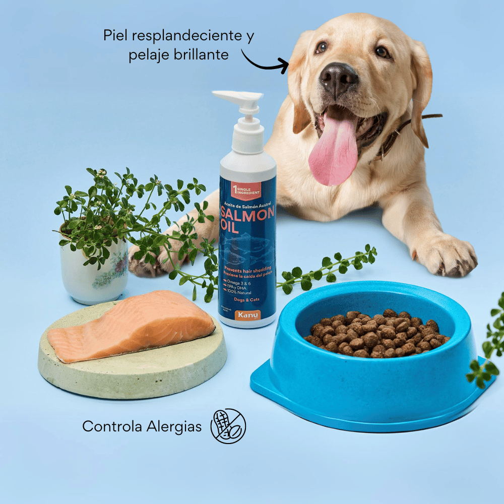 Suplemento Aceite de Salmón 100% Natural para Perros y Gatos Adultos